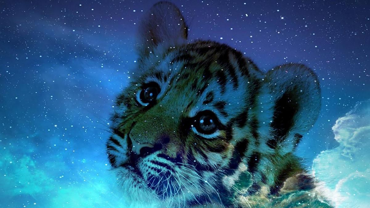 Східний гороскоп на 2022 рік Тигра по рокам для всіх знаків