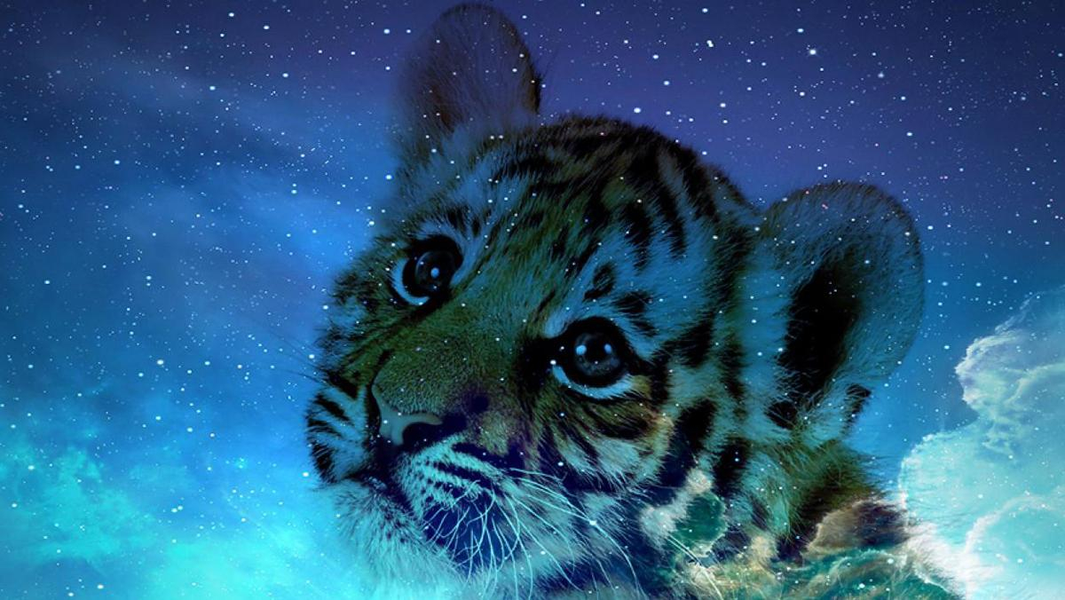 Восточный гороскоп на 2022 год Тигра по годам для всех знаков