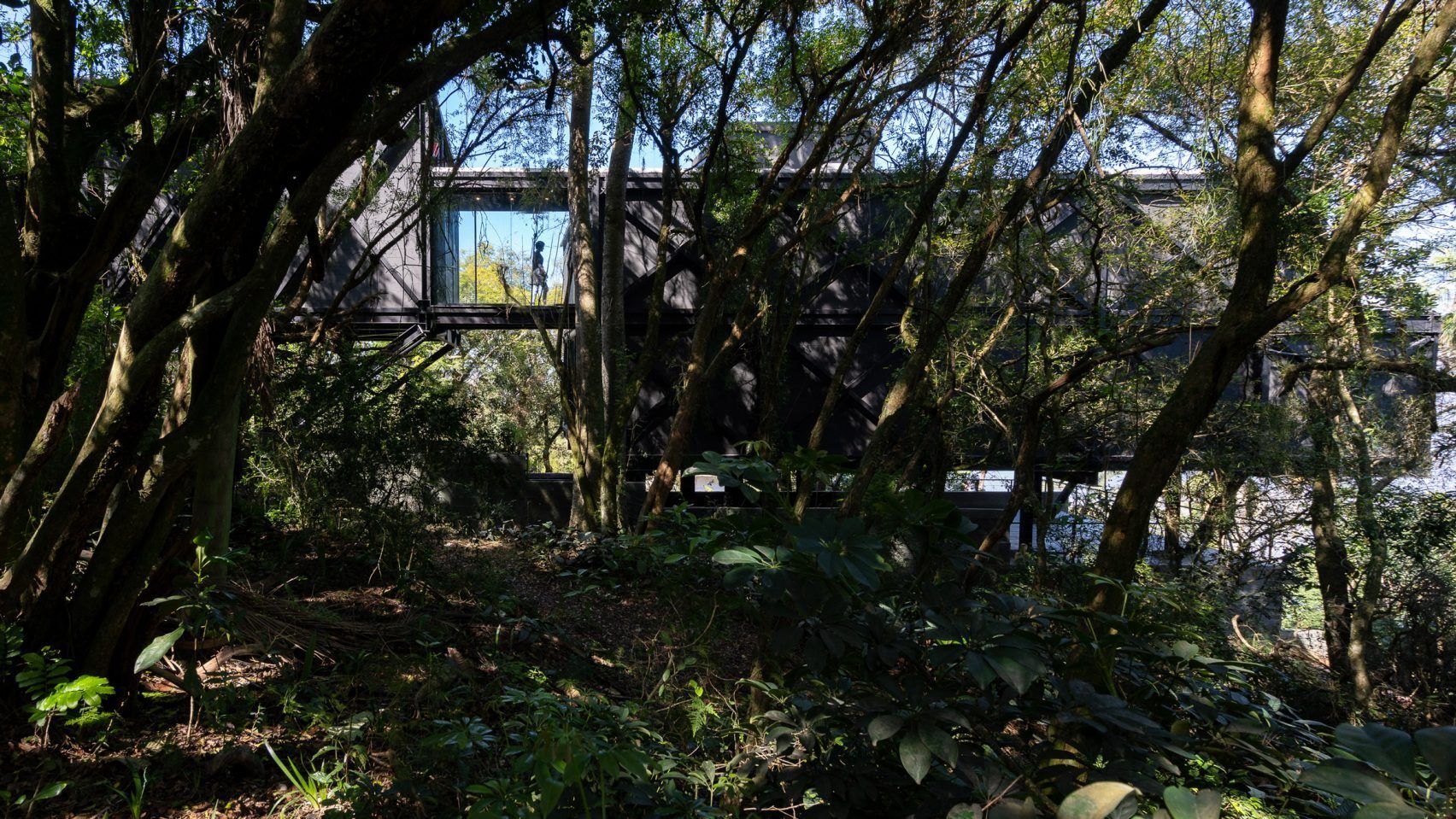 Затишок, схований поміж деревами: будинок у Бразилії, про який мріє кожен - Дизайн 24