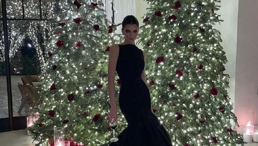 Кендалл Дженнер одягнула на Різдво розкішну сукню від Carolina Herrera