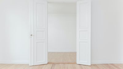 Мінімалістичний тренд 2022 року: як виглядають двері сучасної домівки