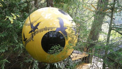 Яркий шар на дереве: в Канаде туристам предлагают ночь в сказочном отеле