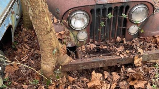 Деревья проросли сквозь машины: в США обнаружили заброшенный автосалон