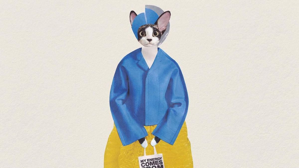 Модна кішка ДжоДжо приміряла на собі одяг в національних кольорах України: стильний образ - Fashion