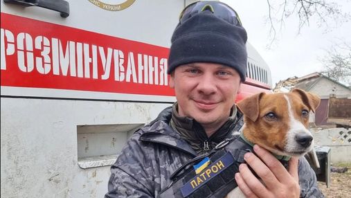 Познакомился со звездой, – Дмитрий Комаров встретился с песиком Патроном, работающим в ГСЧС