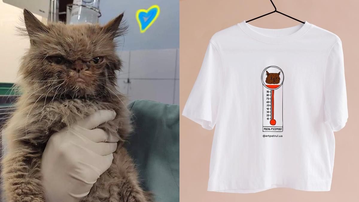 Врятована кішка з Боронянки – тепер на футболках та шоперах  лімітована колекція - Fashion