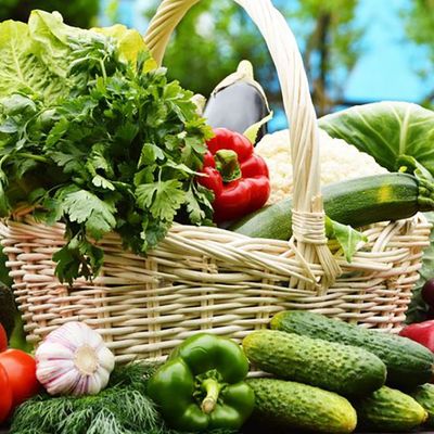 Посевный календарь на июль: когда лучше сажать овощи, зелень и ягоды