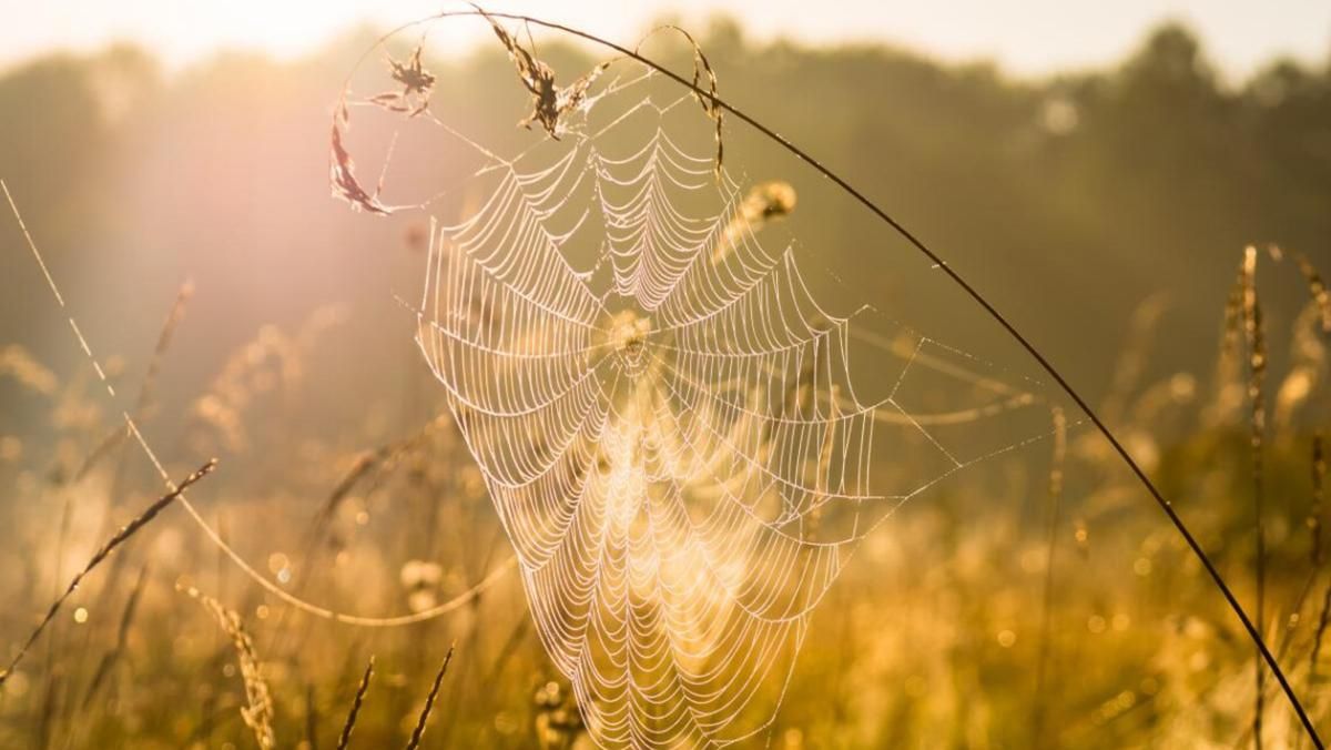 Какой праздник 3 июля 2022 – кто празднует именины, церковные даты Какой праздник 3 июля 2022 – кто празднует именины, церковные даты