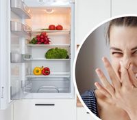 Як позбутися неприємного запаху в холодильнику: популярні методи