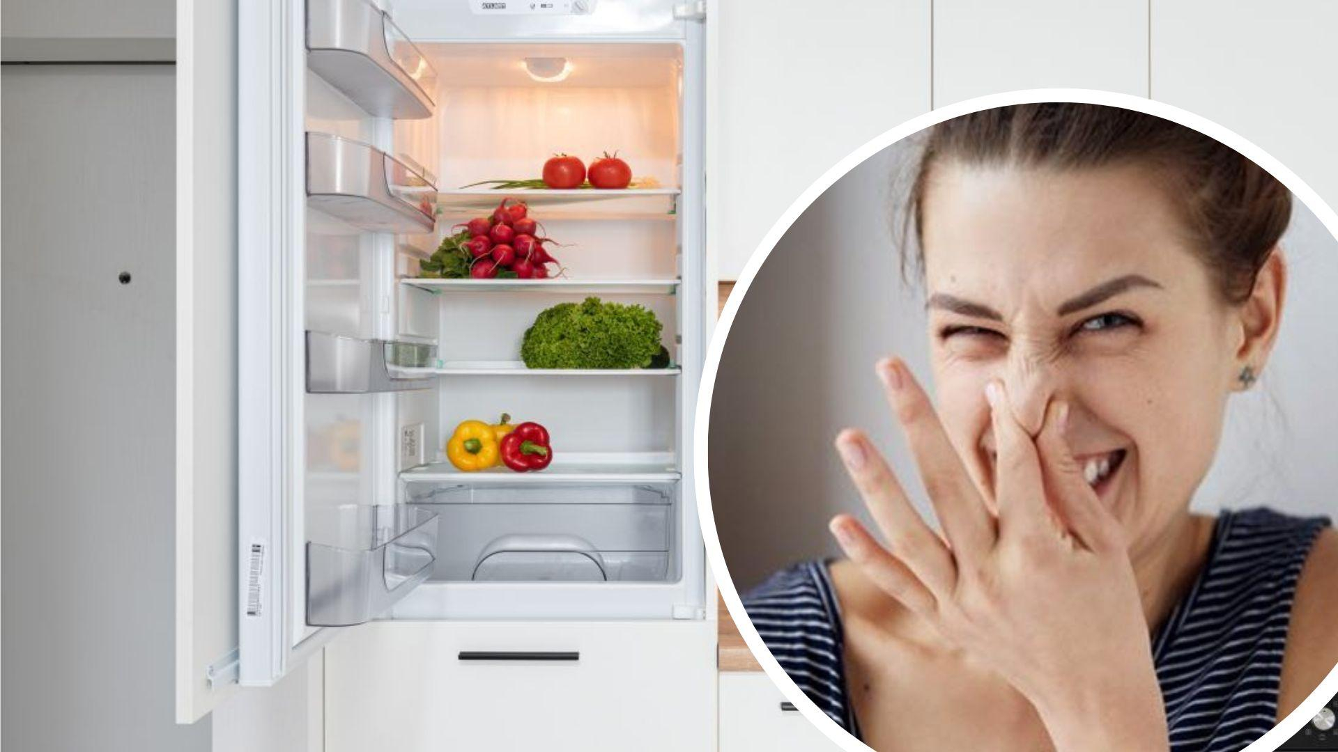 Як прибрати запах в холодильнику – дієві методи