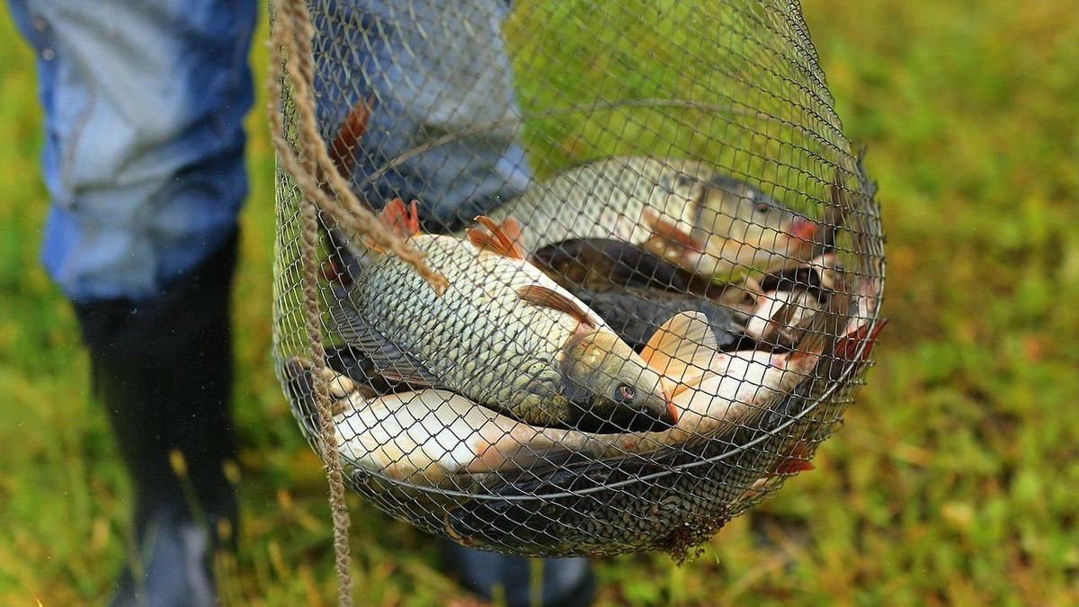 Картинки с Днем рыбака 2022 – поздравления с профессиональным праздником Картинки с Днем рыбака 2022 – поздравления с профессиональным праздником