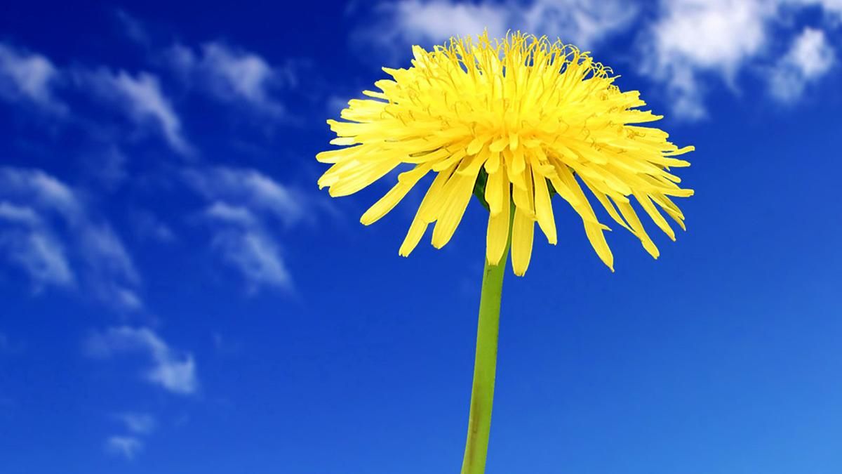 Яке свято 19 липня 2022 в Україні та що не можна робити Яке свято 19 липня 2022 в Україні та що не можна робити