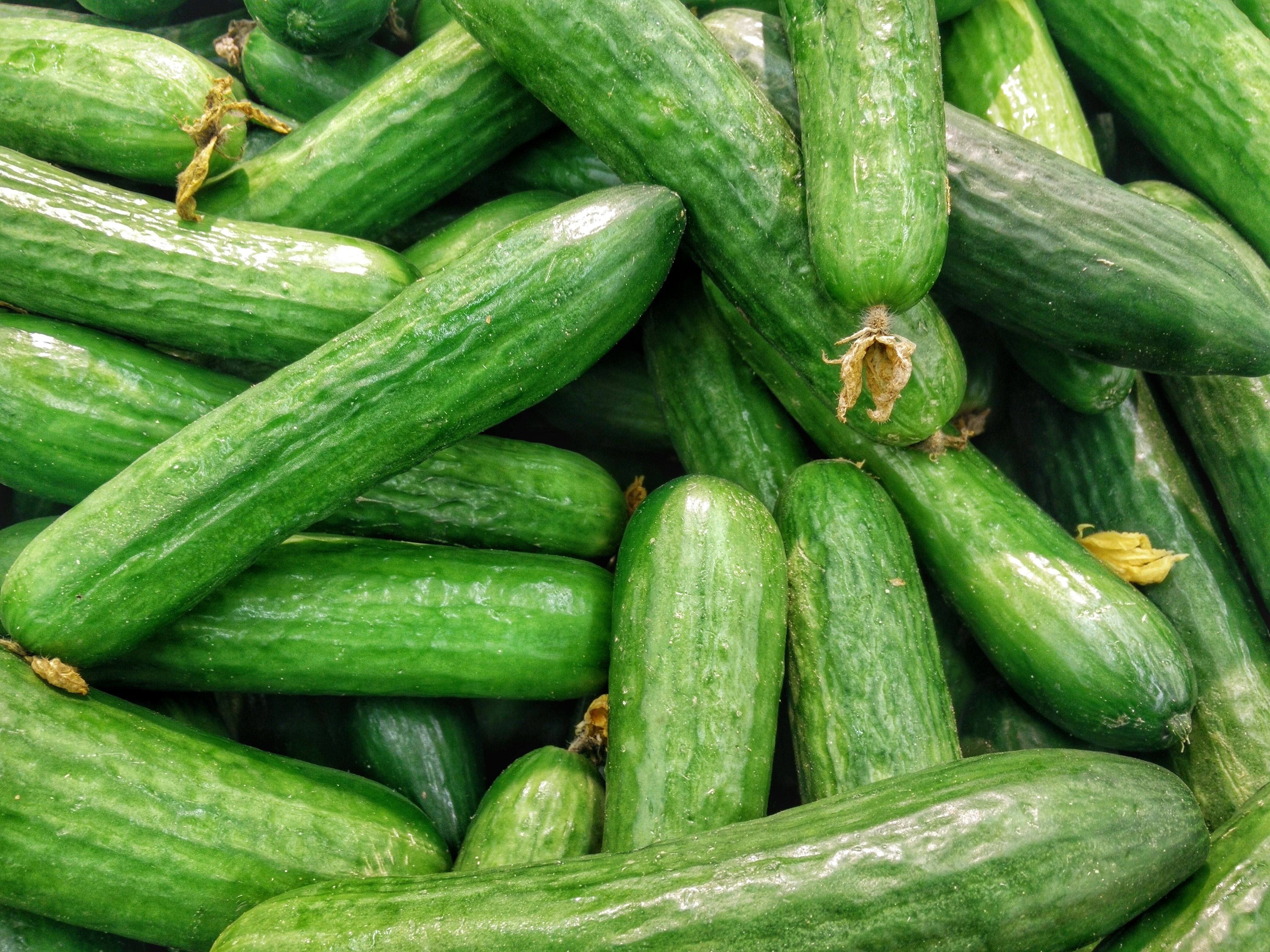 Щоб росли великі: як правильно поливати огірки