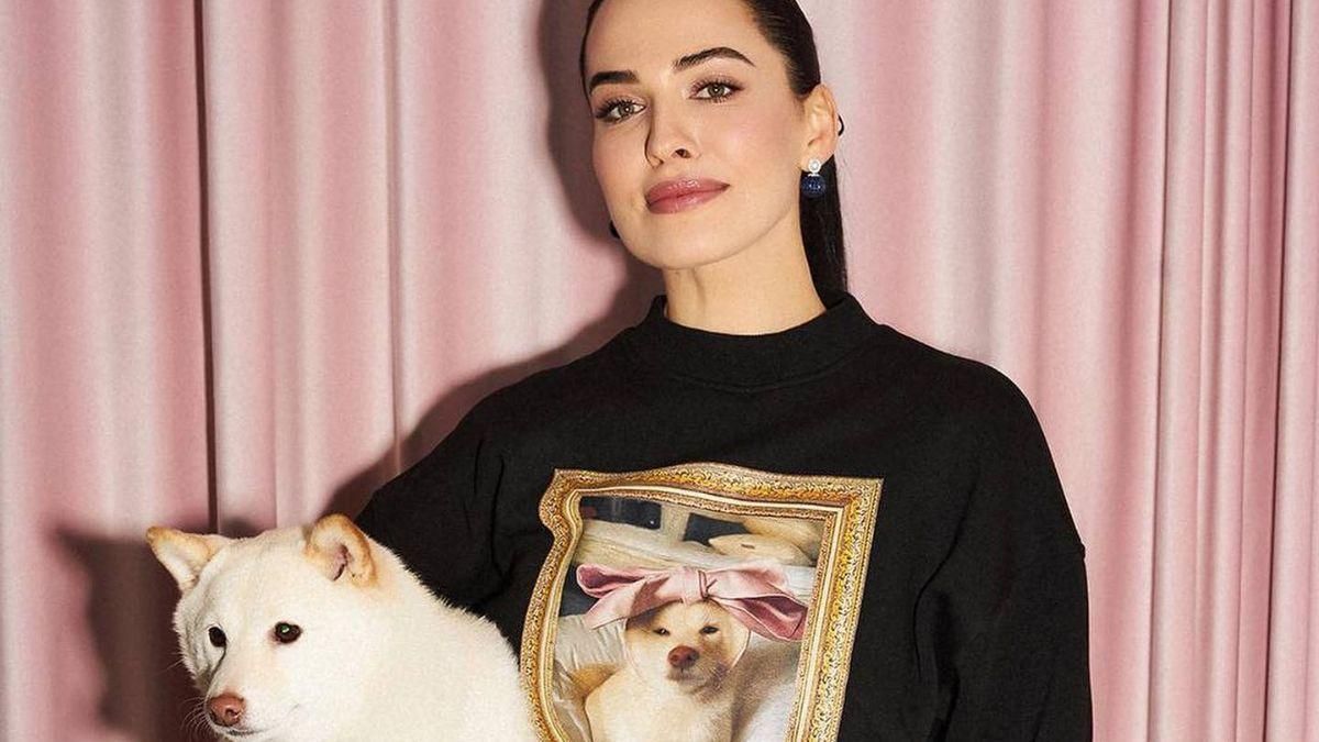 Даша Астаф'єва виставила на аукціон світшот: до чого тут ЗСУ Даша Астаф'єва виставила на аукціон світшот: до чого тут ЗСУ