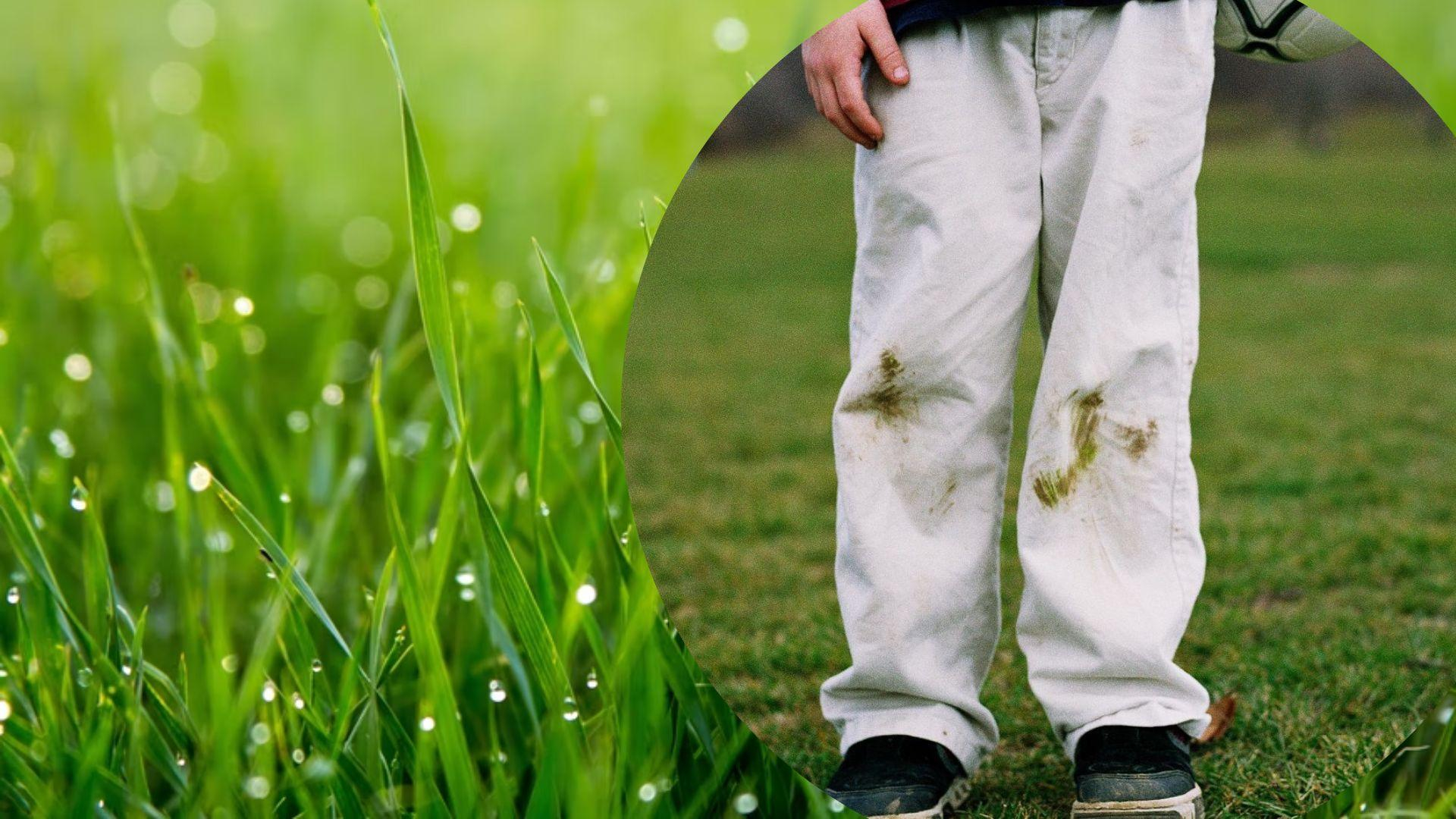 Як вивести плями від трави – дієві лайфхаки від зелені