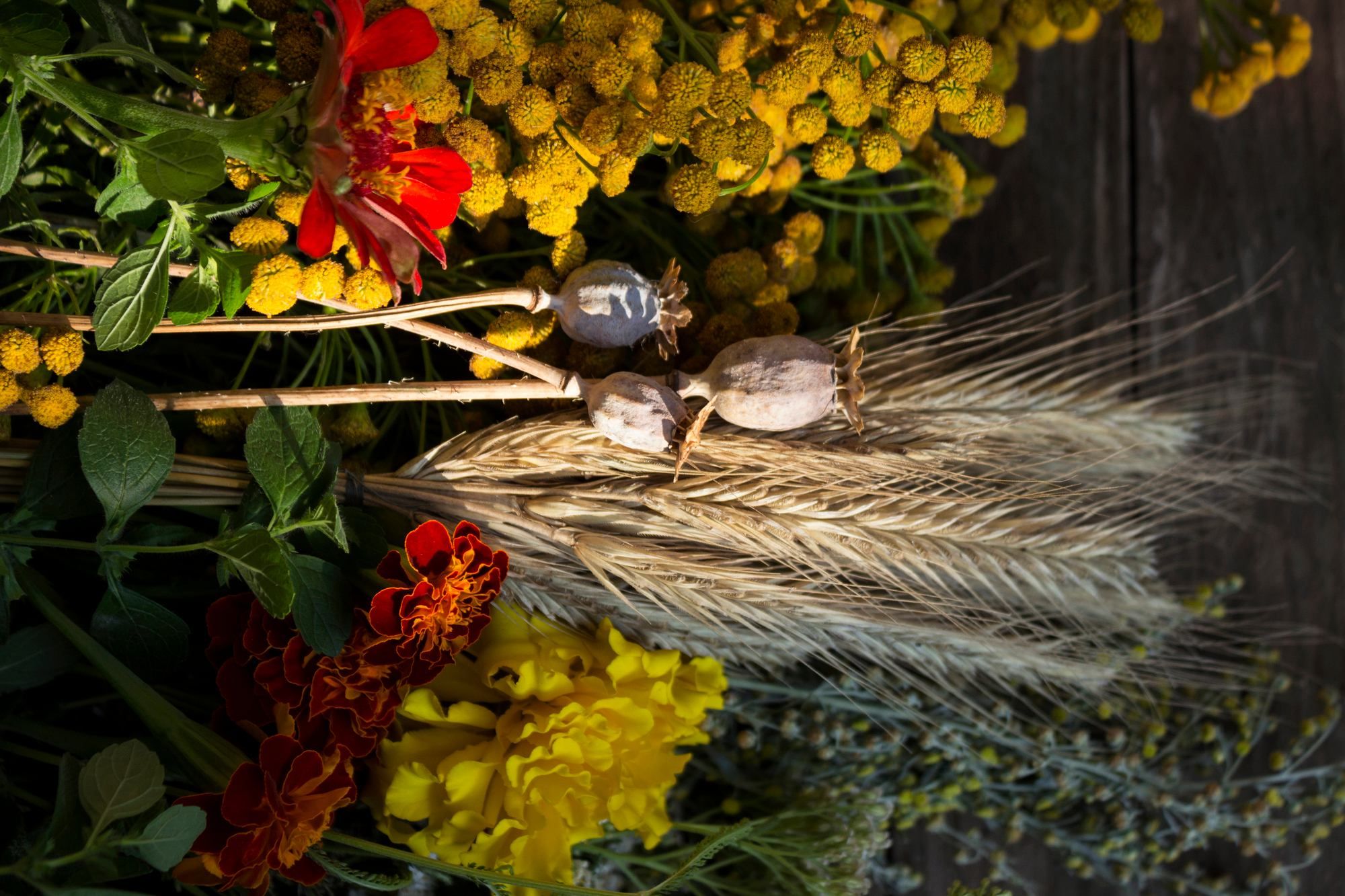 Привітання з Медовим Спасом у прозі та віршах щемливі слова для близьких - Lifestyle 24 Привітання з Медовим Спасом у прозі та віршах щемливі слова для близьких - Lifestyle 24