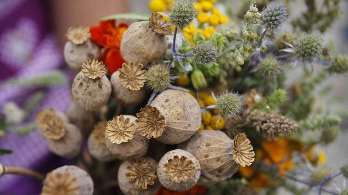 Какой праздник 14 августа 2022 года в Украине – что нельзя делать Какой праздник 14 августа 2022 года в Украине – что нельзя делать