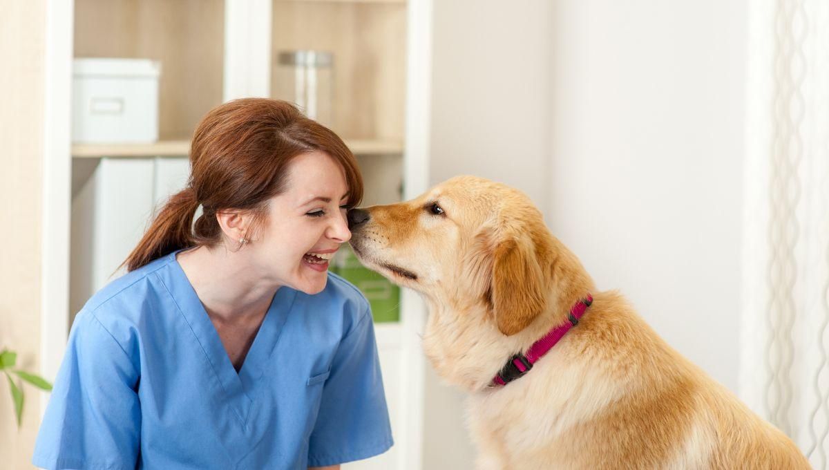 День ветеринара в Україні 2022 – привітання у віршах та прозі День ветеринара в Україні 2022 – привітання у віршах та прозі