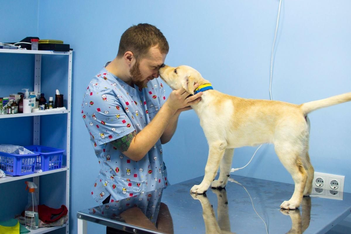 Война в Украине – фото ветеринаров с животными Война в Украине – фото ветеринаров с животными