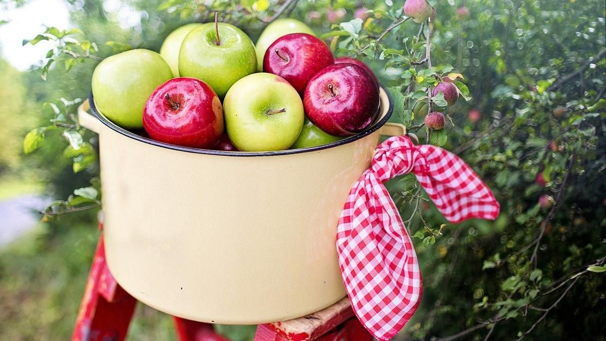 Картинки з Яблучним Спасом 2022 – привітання, листівки зі святом Картинки з Яблучним Спасом 2022 – привітання, листівки зі святом