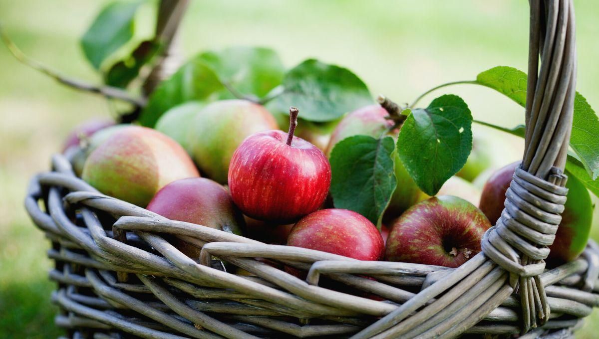 Привітання з Яблучним Спасом 2022 у прозі та віршах Привітання з Яблучним Спасом 2022 у прозі та віршах