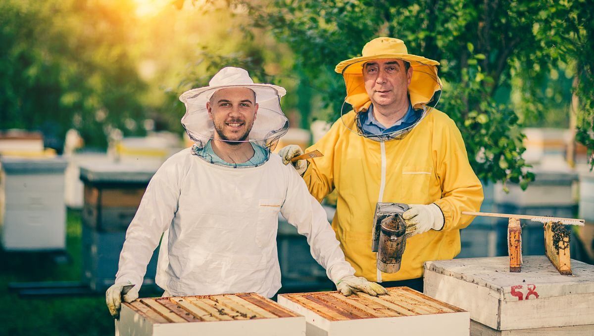 День пасечника в Украине - картинки поздравления с праздником День пасечника в Украине - картинки поздравления с праздником