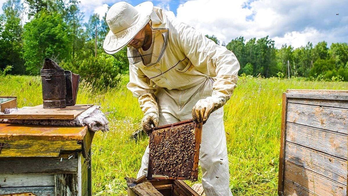 Привітання з Днем пасічника 2022 Привітання з Днем пасічника 2022