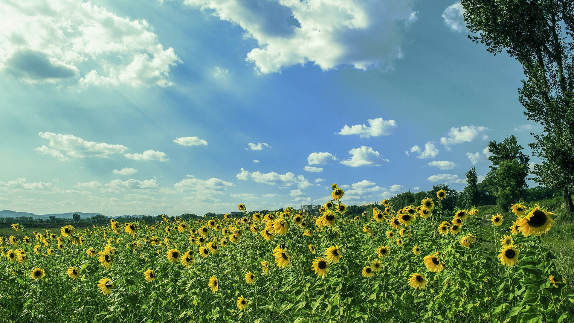 20 августа – какой сегодня праздник и что нельзя делать в этот день - 19 августа 2022 - Lifestyle 24 20 августа – какой сегодня праздник и что нельзя делать в этот день - 19 августа 2022 - Lifestyle 24
