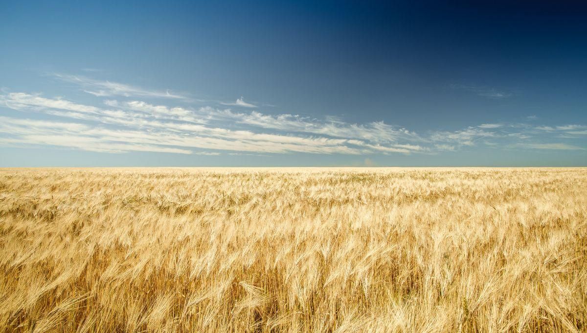 День Незалежності України 2022 - привітання у віршах та прозі День Незалежності України 2022 - привітання у віршах та прозі