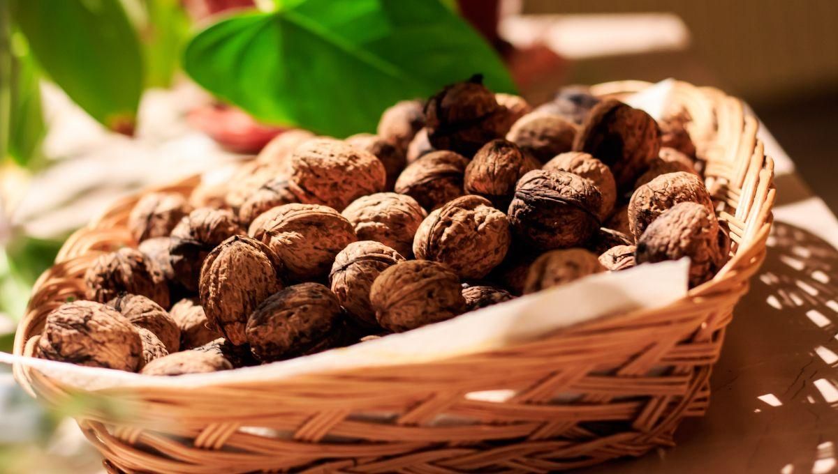 Горіховий Спас 2022 – що святять у церкві 29 серпня в Україні Горіховий Спас 2022 – що святять у церкві 29 серпня в Україні