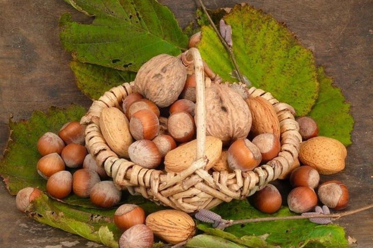 29 серпня 2022 в Україні – яке свято та що не можна робити 29 серпня 2022 в Україні – яке свято та що не можна робити