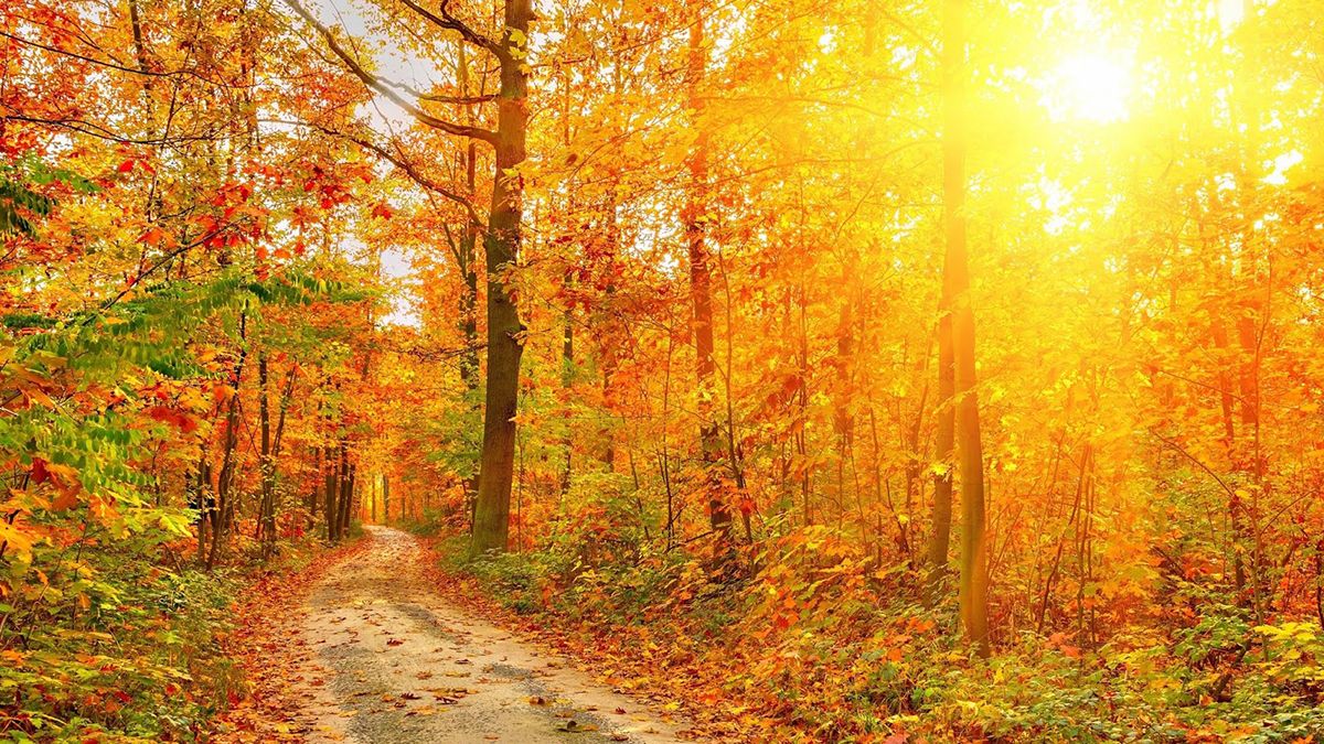 3 сентября – какой сегодня праздник и что нельзя делать в этот день - 2 сентября 2022 - Lifestyle 24 3 сентября – какой сегодня праздник и что нельзя делать в этот день - 2 сентября 2022 - Lifestyle 24