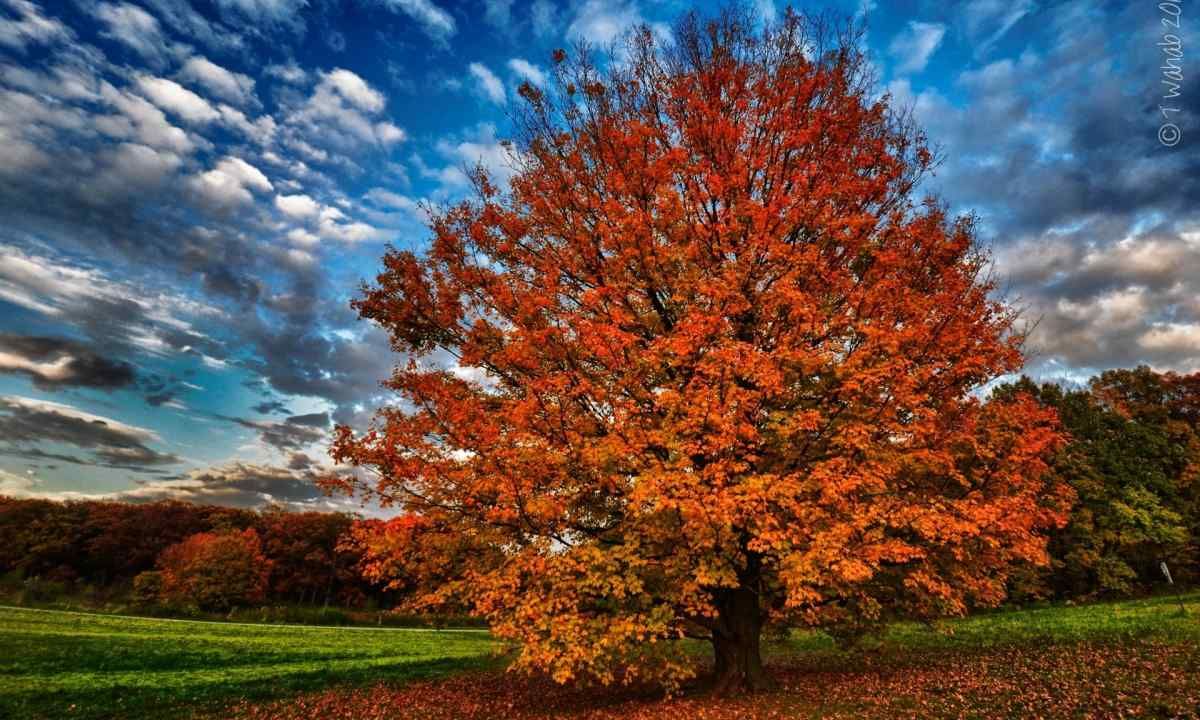 4 сентября – какой сегодня праздник и что нельзя делать в этот день - 3 сентября 2022 - Lifestyle 24 4 сентября – какой сегодня праздник и что нельзя делать в этот день - 3 сентября 2022 - Lifestyle 24