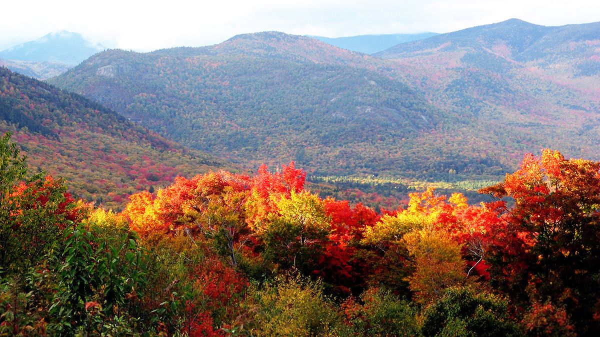 7 вересня 2022 в Україні – яке свято та що не можна робити 7 вересня 2022 в Україні – яке свято та що не можна робити