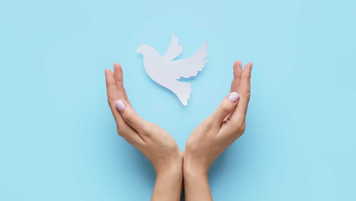 День мира 2022 в Украине – значение и история праздника День мира 2022 в Украине – значение и история праздника