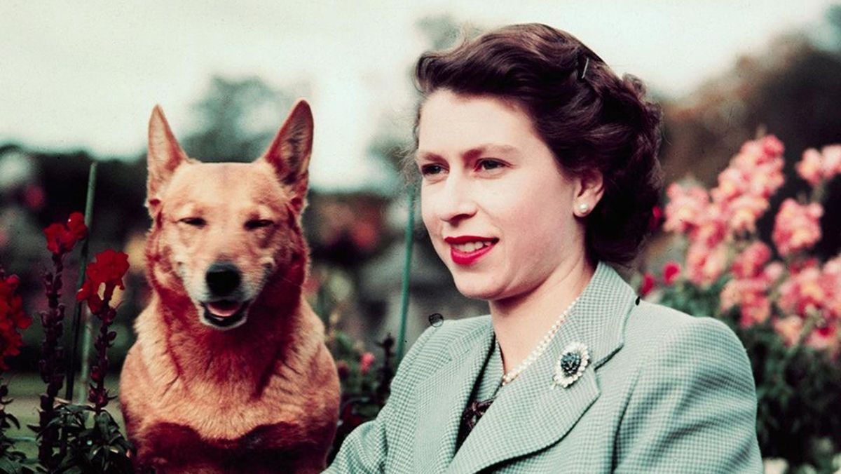 Непревзойденная икона Виктория Бекхэм опубликовала щемящее сообщение о Елизавете II - Fashion Непревзойденная икона Виктория Бекхэм опубликовала щемящее сообщение о Елизавете II - Fashion