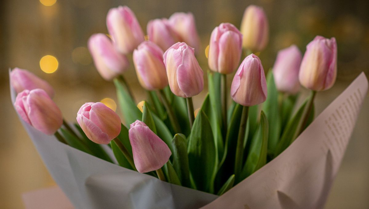 З Днем ангела Віри, Надії, Любові й Софії – привітання у прозі, віршах З Днем ангела Віри, Надії, Любові й Софії – привітання у прозі, віршах