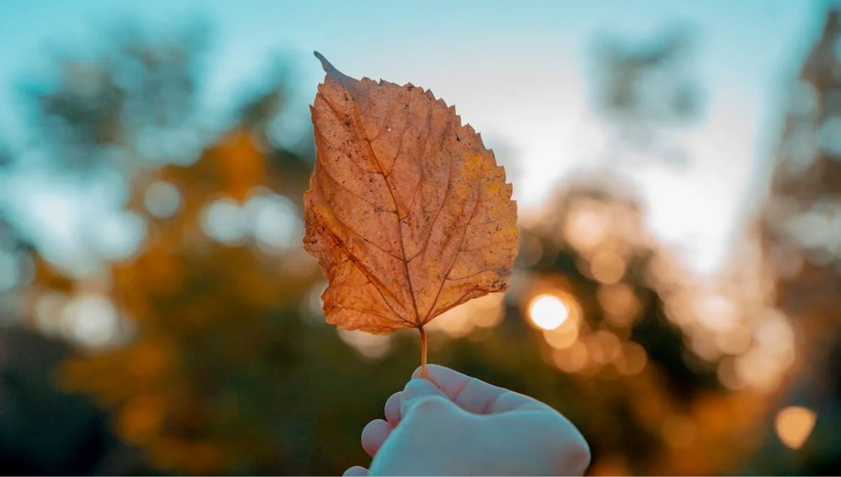 Выходные в октябре 2022, Украина – календарь, в какие дни отдыхаем Выходные в октябре 2022, Украина – календарь, в какие дни отдыхаем