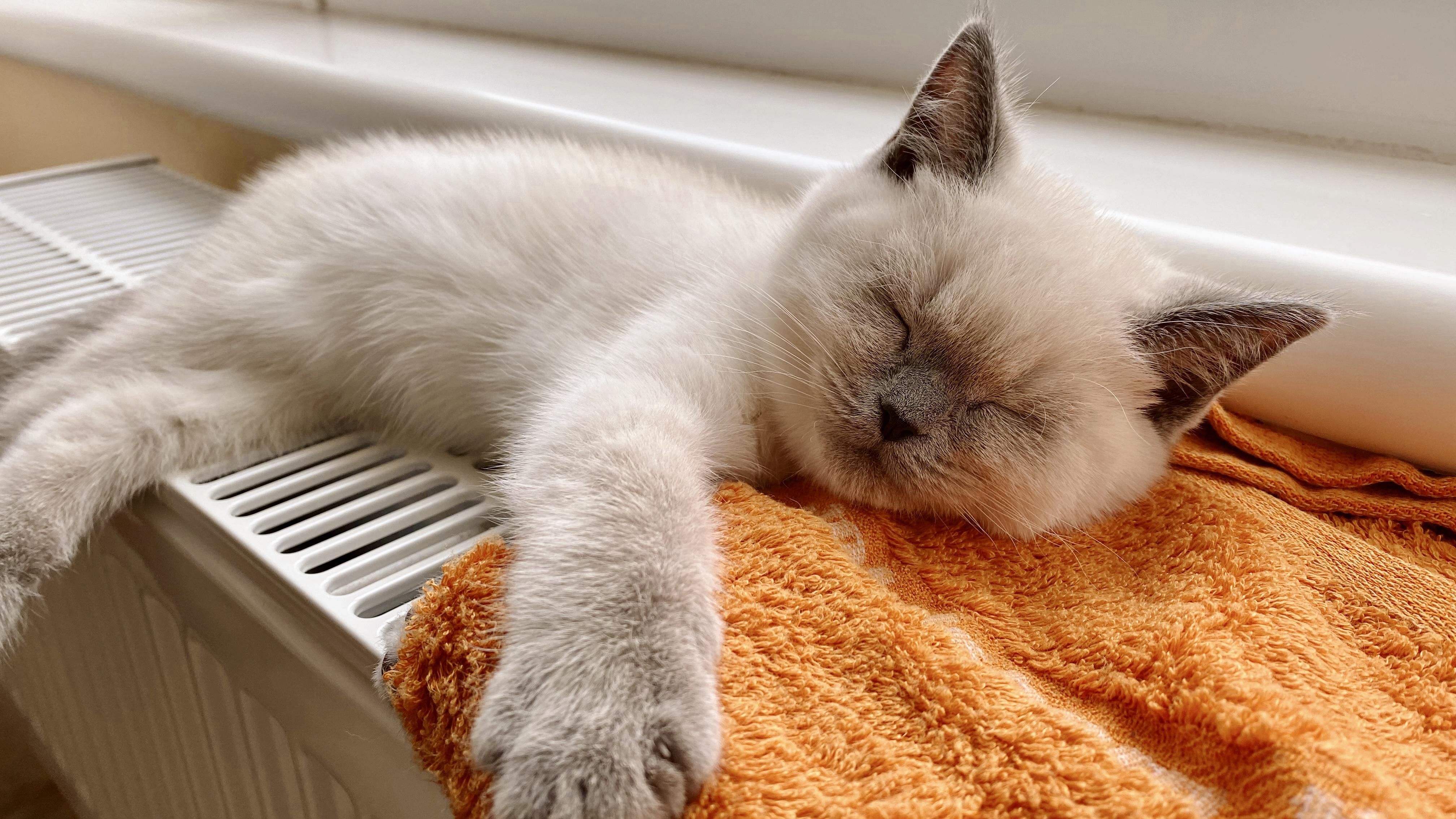 Без света, газа и воды – какие вещи стоит иметь, чтобы согреться дома Без света, газа и воды – какие вещи стоит иметь, чтобы согреться дома