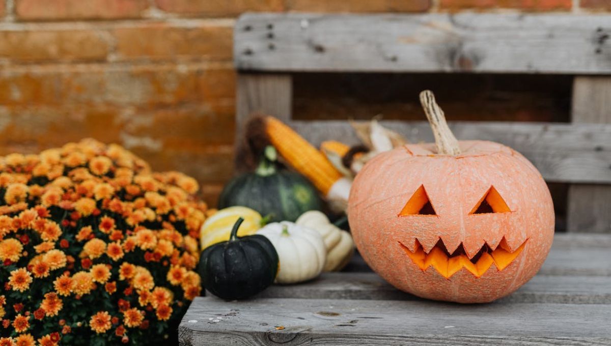 Хэллоуин 2022 – традиции праздника и стоит ли его отмечать Хэллоуин 2022 – традиции праздника и стоит ли его отмечать