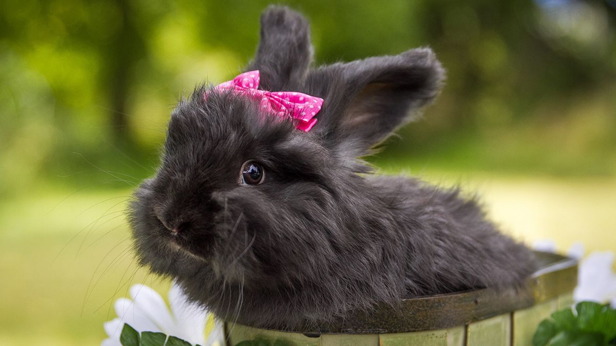 Проблемный 2023 год для знаков Зодиака Проблемный 2023 год для знаков Зодиака