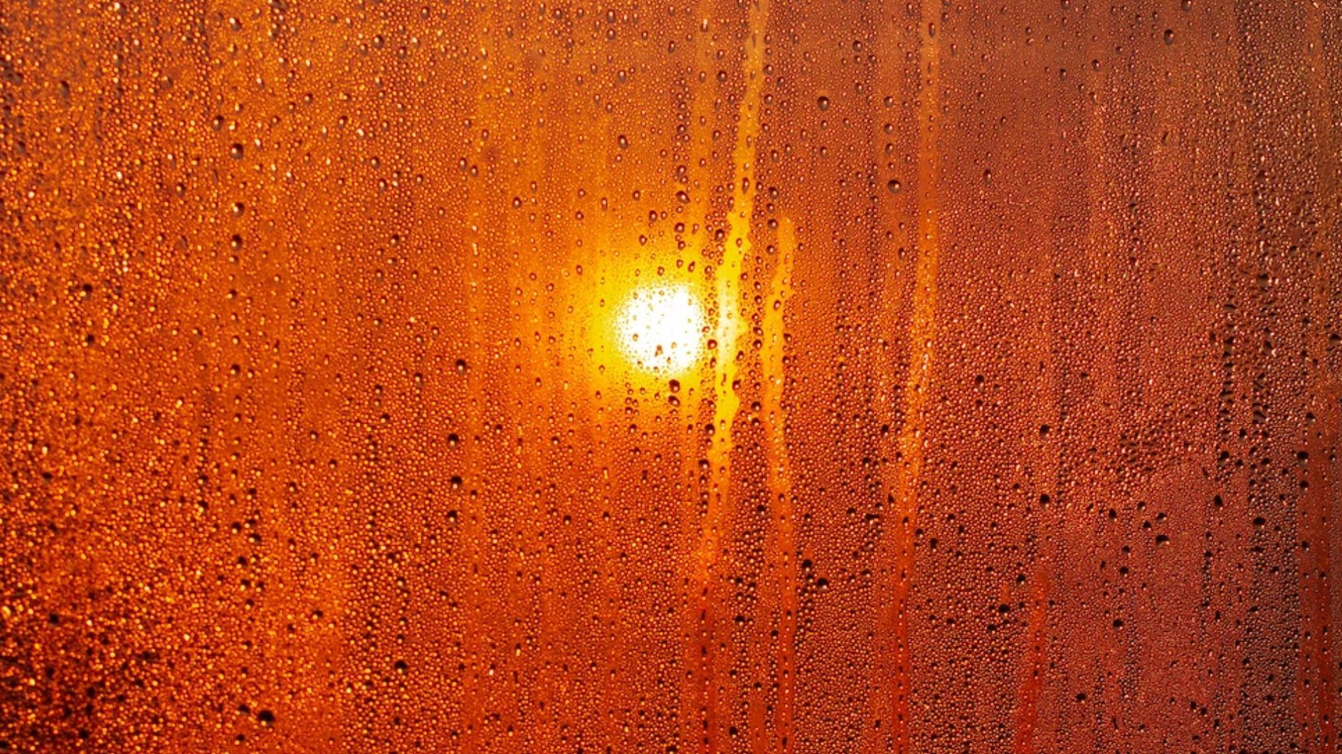 Как забрать конденсат из окон - простые уловки, которые спасут ваши окна - Lifestyle 24 Как забрать конденсат из окон - простые уловки, которые спасут ваши окна - Lifestyle 24