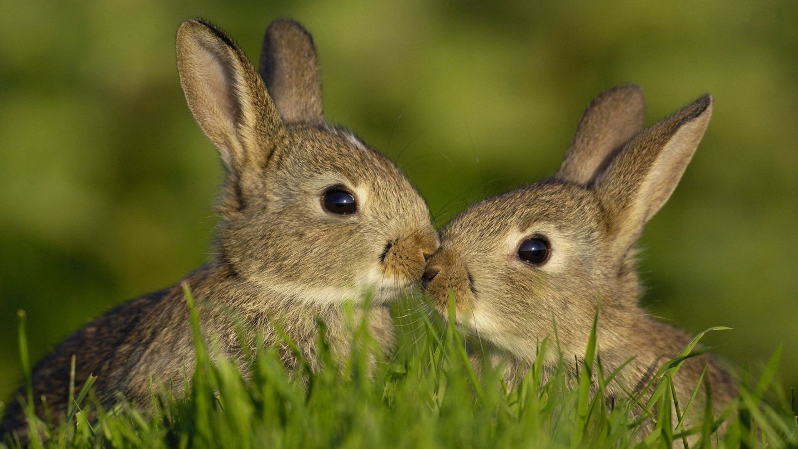 4 знака зодиака встретят любовь в 2023 году 4 знака зодиака встретят любовь в 2023 году