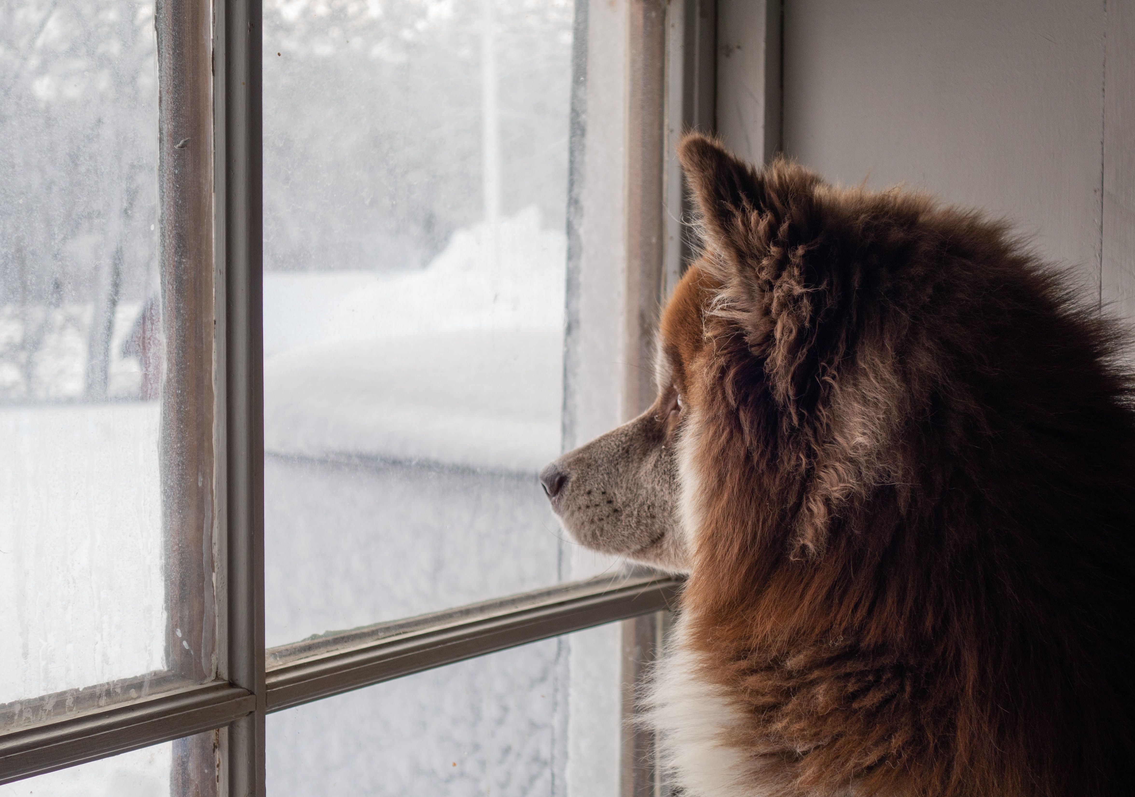 Утепление окон – как правильно утеплить деревянные и пластиковые окна на зиму.