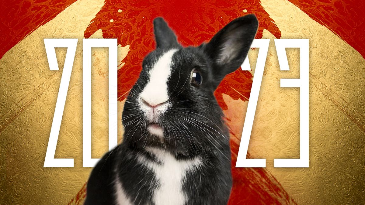 2023 год какого животного и в чем встречать – как встретить Новый год 2023 2023 год какого животного и в чем встречать – как встретить Новый год 2023