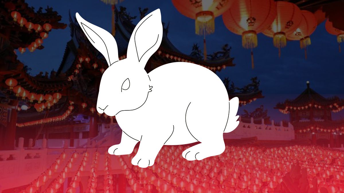 Гороскоп на 2023 рік Кролика – прогноз для всіх знаків зодіаку Гороскоп на 2023 рік Кролика – прогноз для всіх знаків зодіаку