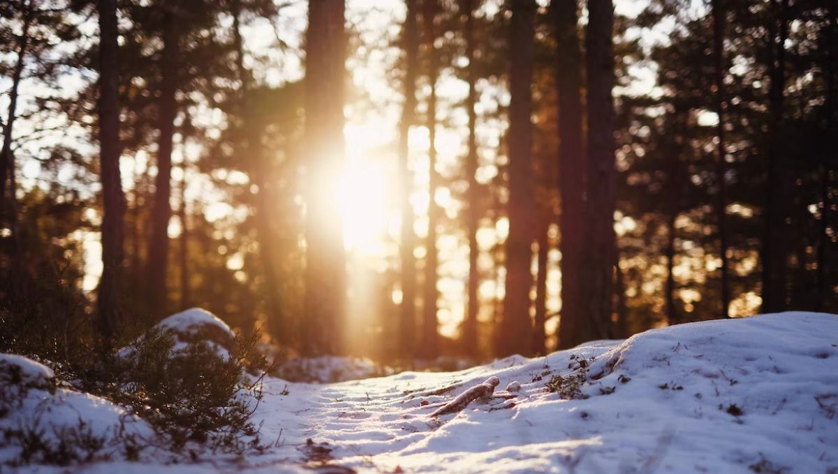 День зимнего солнцестояния 2022 – приметы и что это значит