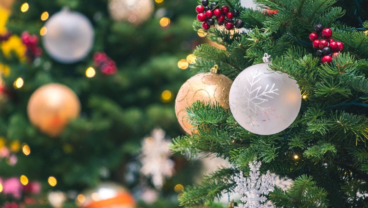 Тосты с Новым годом 2023 – поздравление, пожелание победы миру Тосты с Новым годом 2023 – поздравление, пожелание победы миру