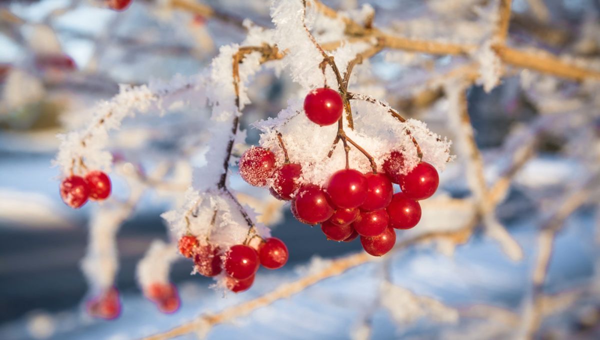 Вихідні у лютому 2023 - календар свят у воєнний час Вихідні у лютому 2023 - календар свят у воєнний час