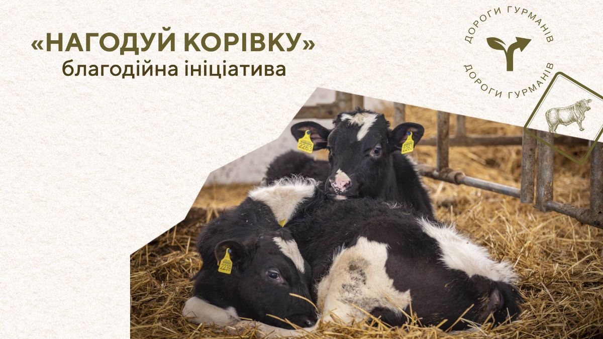 Донаты для фермы на Харьковщине – как помочь благотворительному проекту